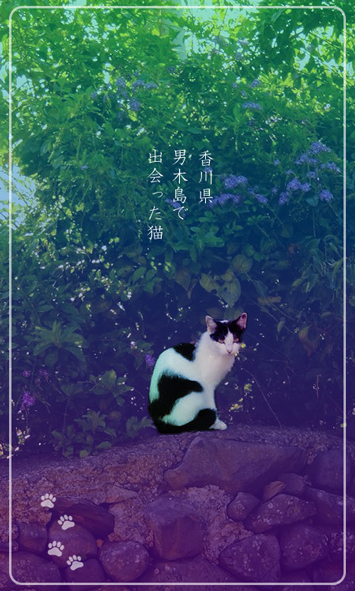 作品１